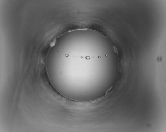 X0000112830037200908211227