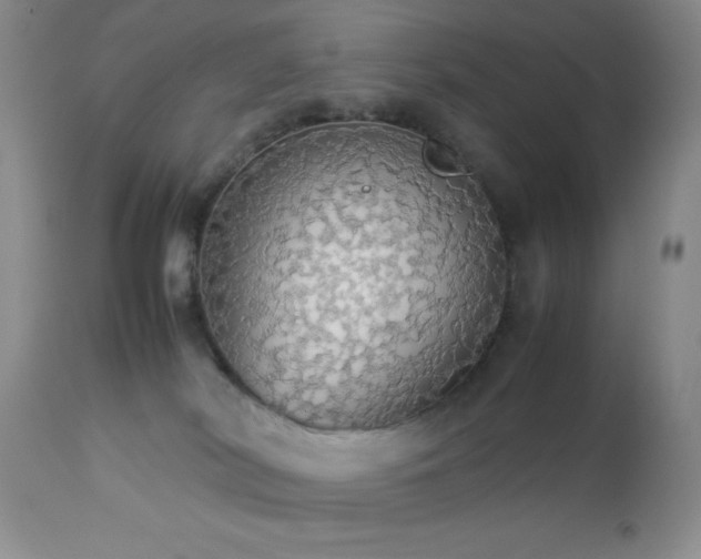 X0000112830038200908211227