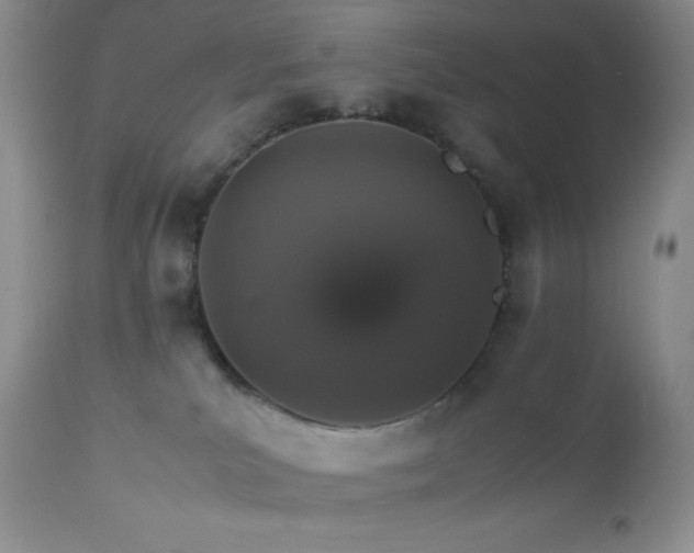 X0000112830039200908211227