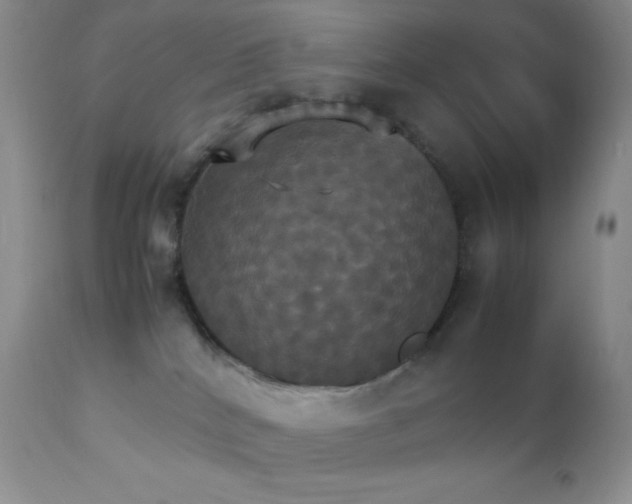 X0000112830040200908211227