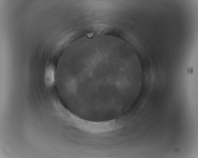 X0000112830042200908211227