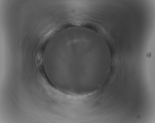 X0000112830043200908211227