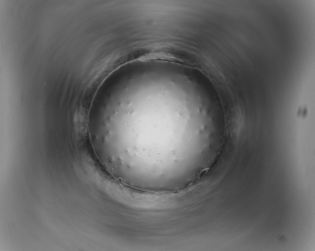 X0000112830044200908211227