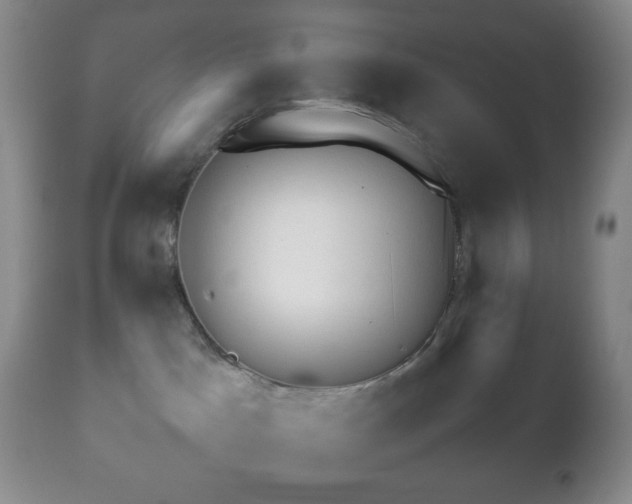 X0000112830045200908211227