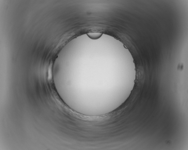 X0000112830046200908211227