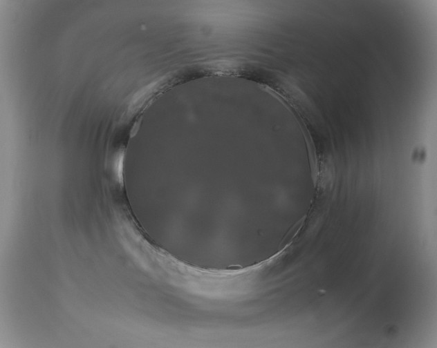 X0000112830047200908211227