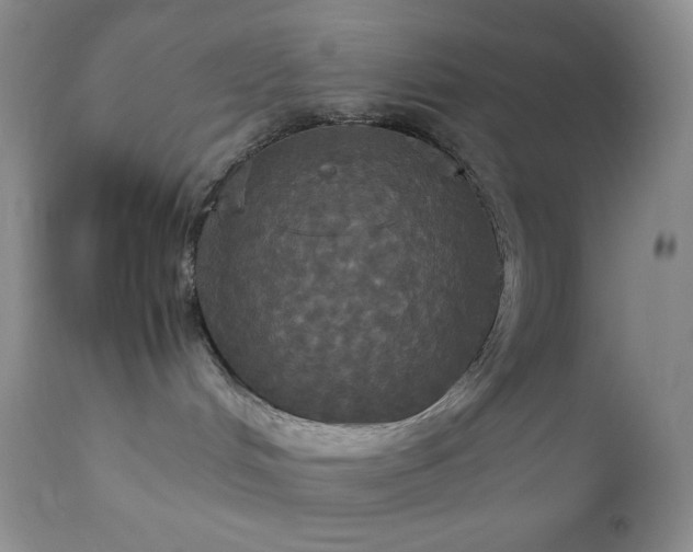 X0000112830048200908211227