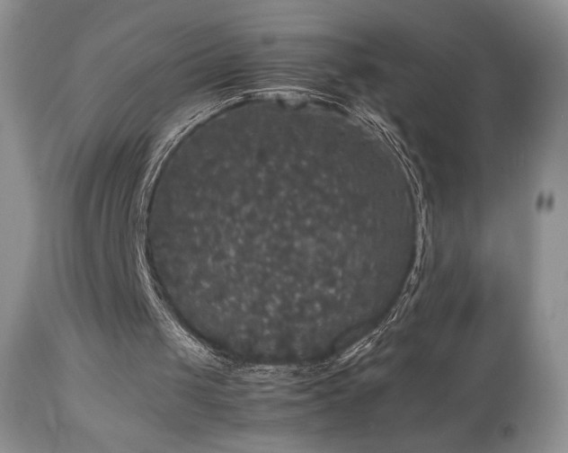 X0000112830049200908211226