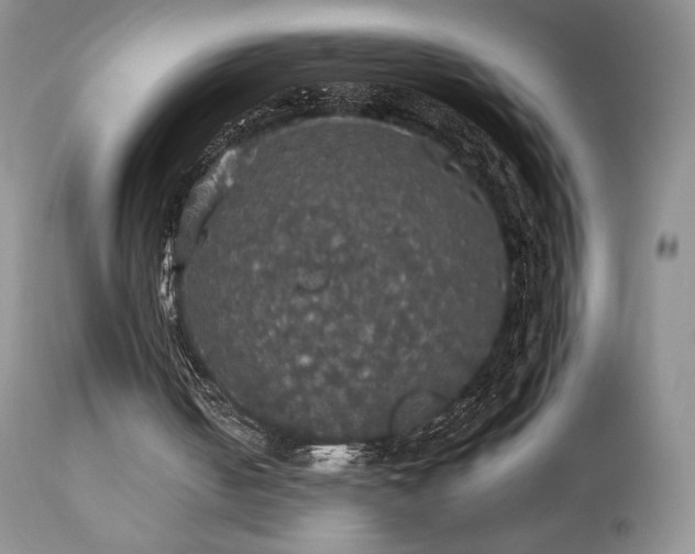 X0000112830050200908211226