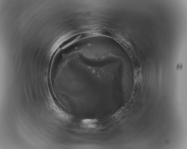 X0000112830051200908211226