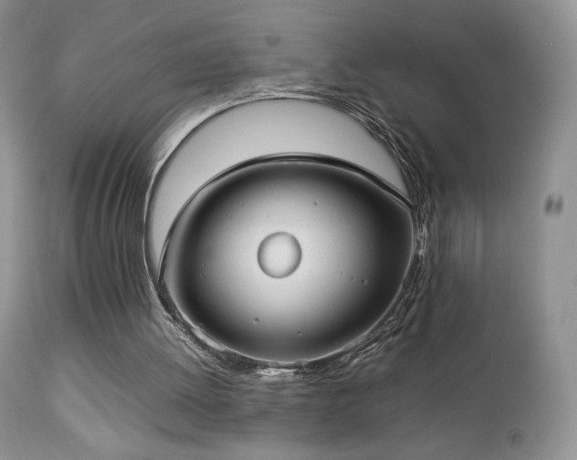 X0000112830052200908211226