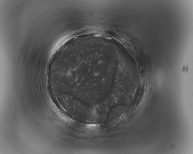 X0000112830053200908211226