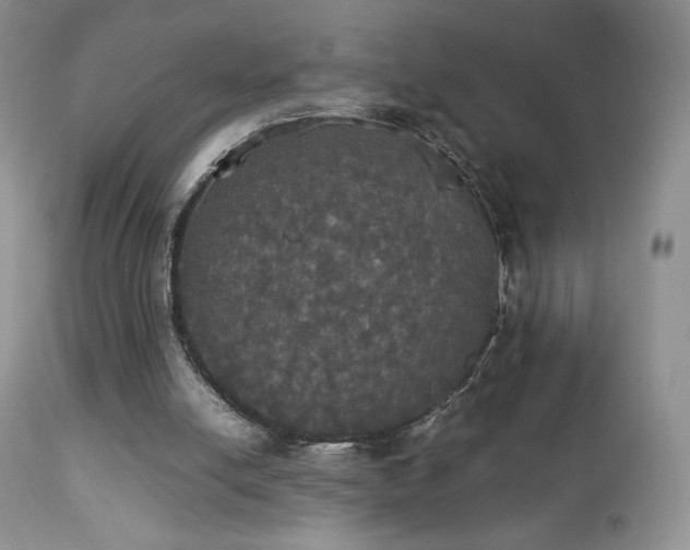 X0000112830054200908211226