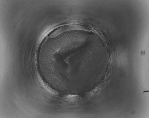 X0000112830055200908211226