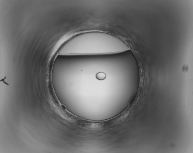 X0000112830056200908211226