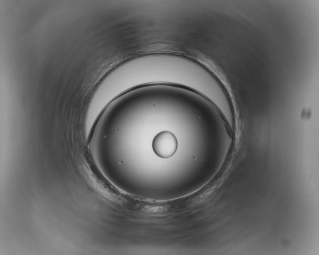 X0000112830057200908211226