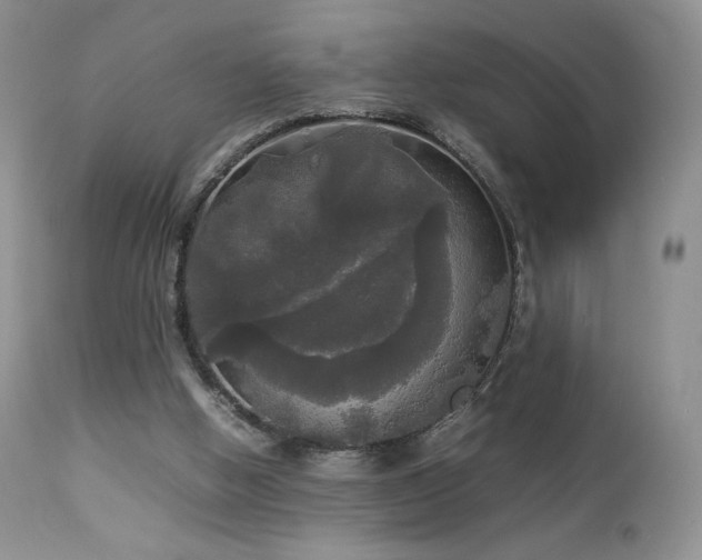 X0000112830058200908211226