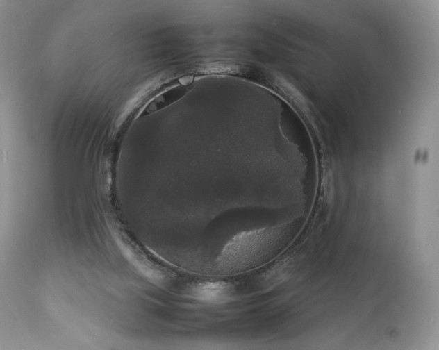 X0000112830059200908211226