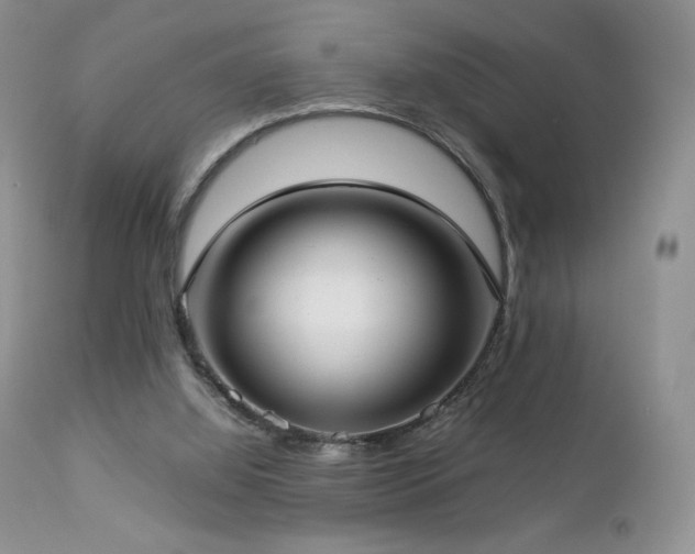 X0000112830060200908211226