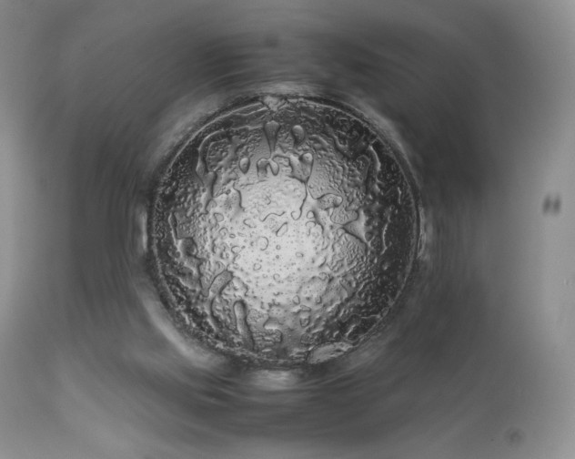 X0000112830061200908211226