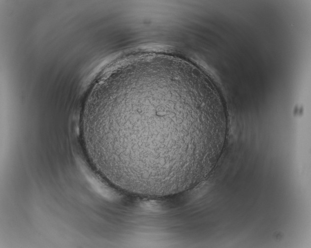 X0000112830062200908211227