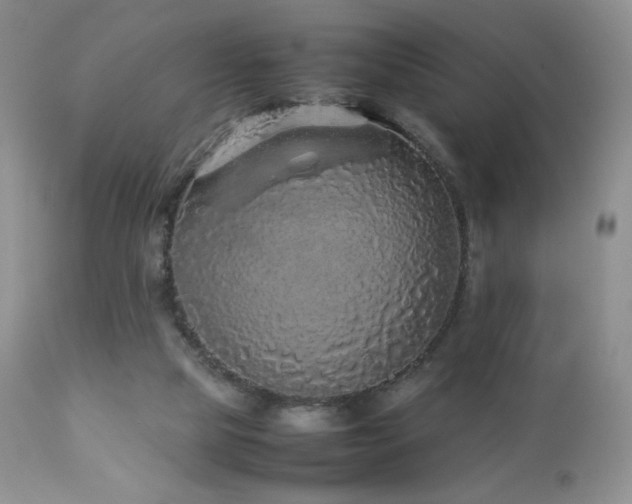 X0000112830065200908211227