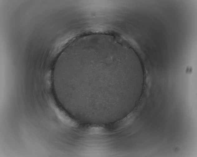 X0000112830066200908211227