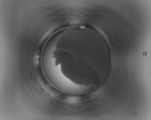 X0000112830067200908211227