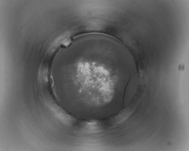 X0000112830068200908211227