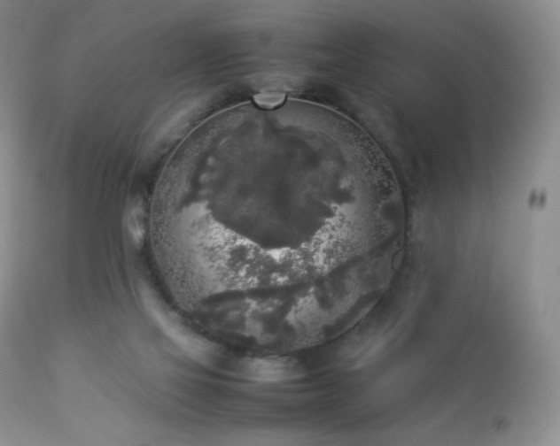 X0000112830069200908211227