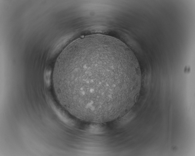 X0000112830070200908211227