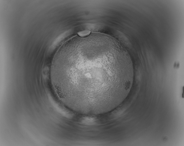 X0000112830071200908211227