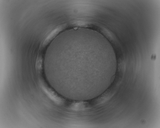 X0000112830072200908211227