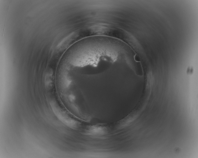 X0000112830073200908211227