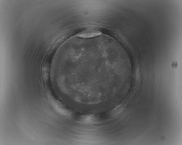 X0000112830074200908211227