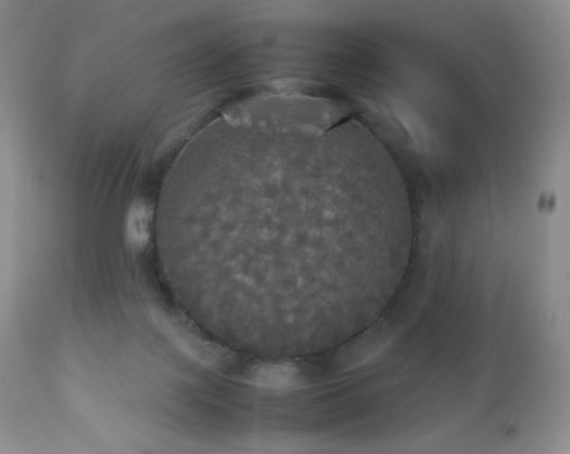 X0000112830075200908211227