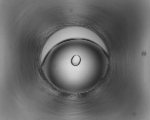 X0000112830076200908211227