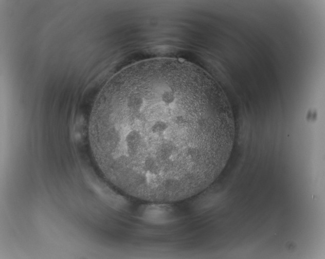 X0000112830077200908211227