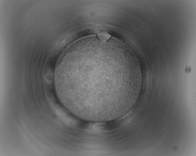 X0000112830078200908211227