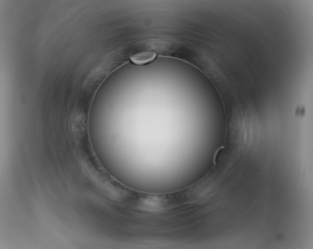 X0000112830079200908211227