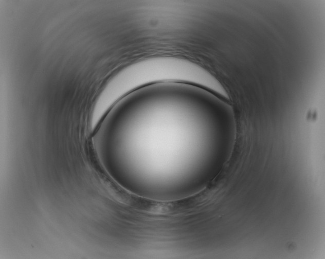 X0000112830080200908211227