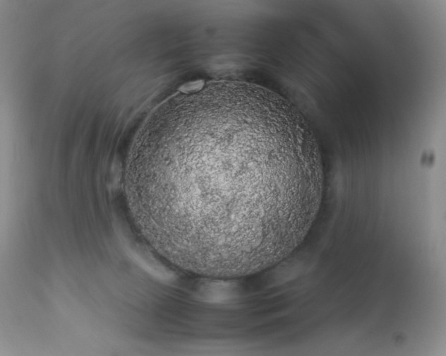 X0000112830081200908211227