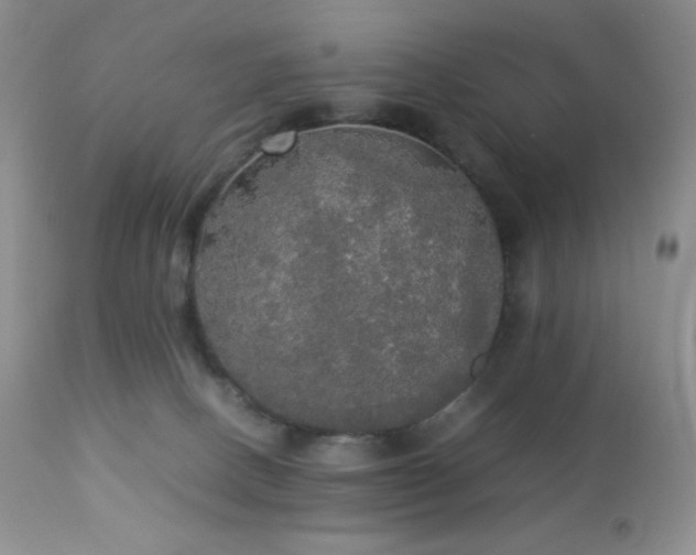 X0000112830082200908211227