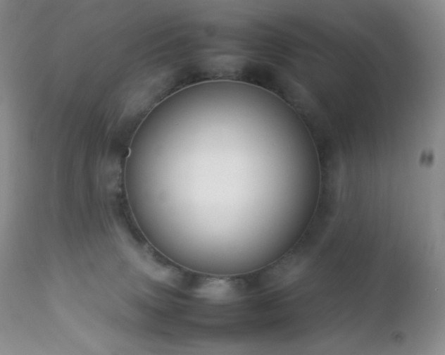 X0000112830083200908211227