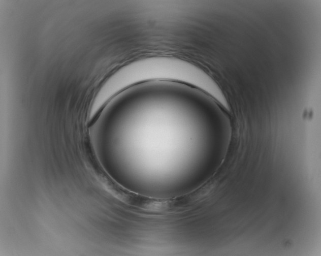 X0000112830084200908211227