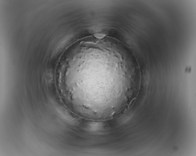 X0000112830085200908211227