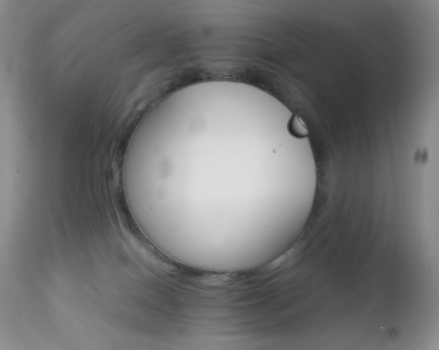 X0000112830086200908211227