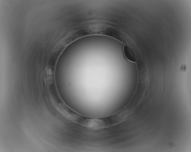 X0000112830087200908211227