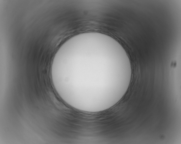 X0000112830088200908211227