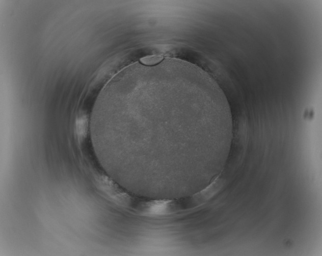 X0000112830090200908211227